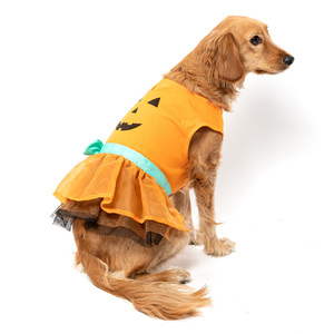 Bootique Vestido Modelo Calabaza Edición Halloween para Perro, X-Chico