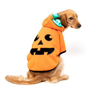 Bootique Sudadera Modelo Calabaza Edición Halloween para Perro, Chico