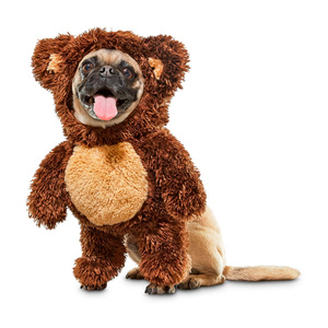 Bootique Disfraz de Osito Teddy para Perro, Chico