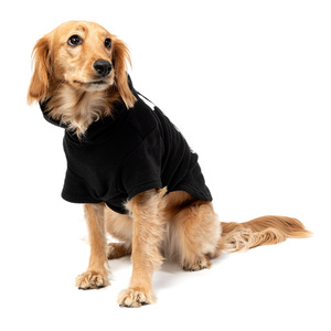 Bootique Sudadera de Esqueleto para Perro, Grande