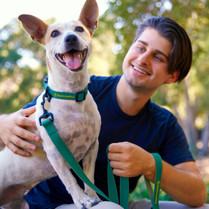 Backcountry Collar Ajustable Resistente al Agua Color Verde para Perro, Chico