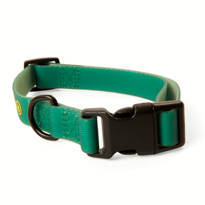 Backcountry Collar Ajustable Resistente al Agua Color Verde para Perro, Chico